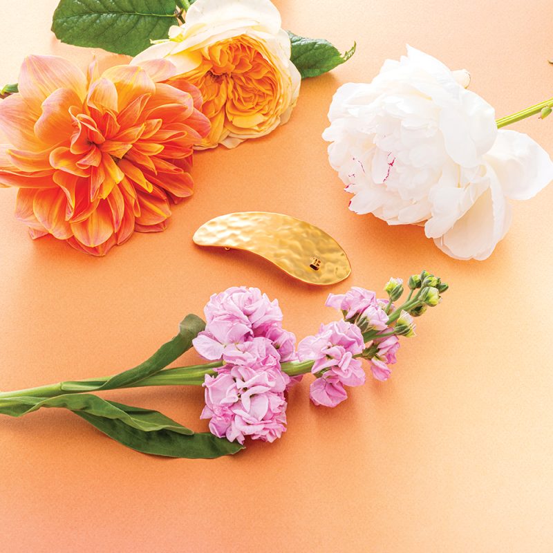 Balmain Hair Limited Edition Printemps Leaf Barrette Pour Cheveux