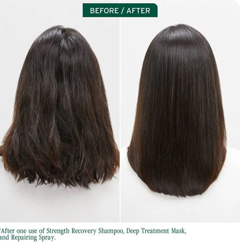 Biolage strength recovery3