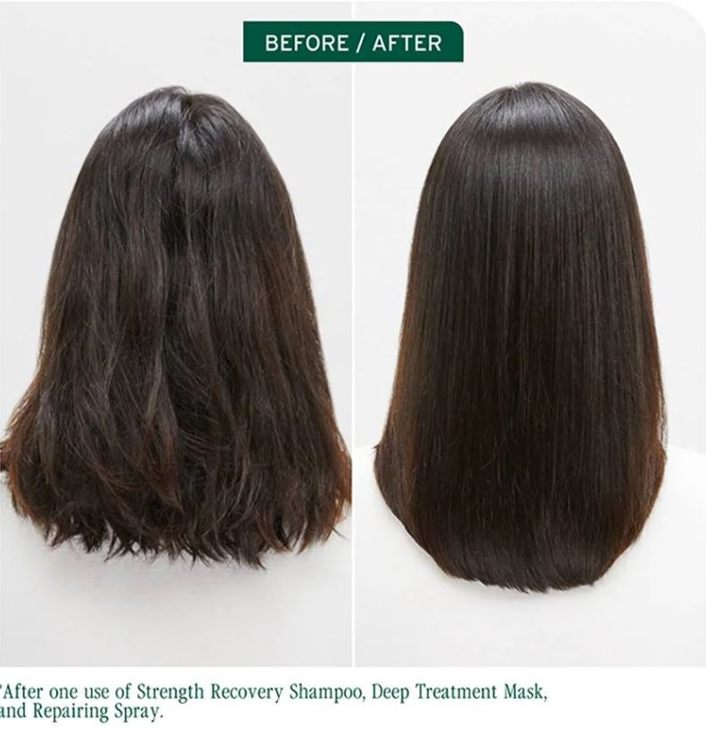 Biolage strength recovery3